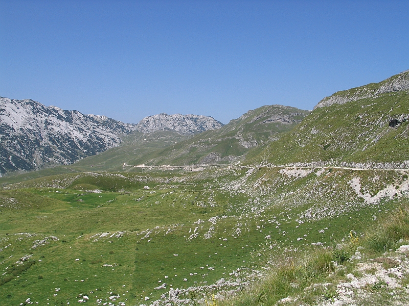 Original image